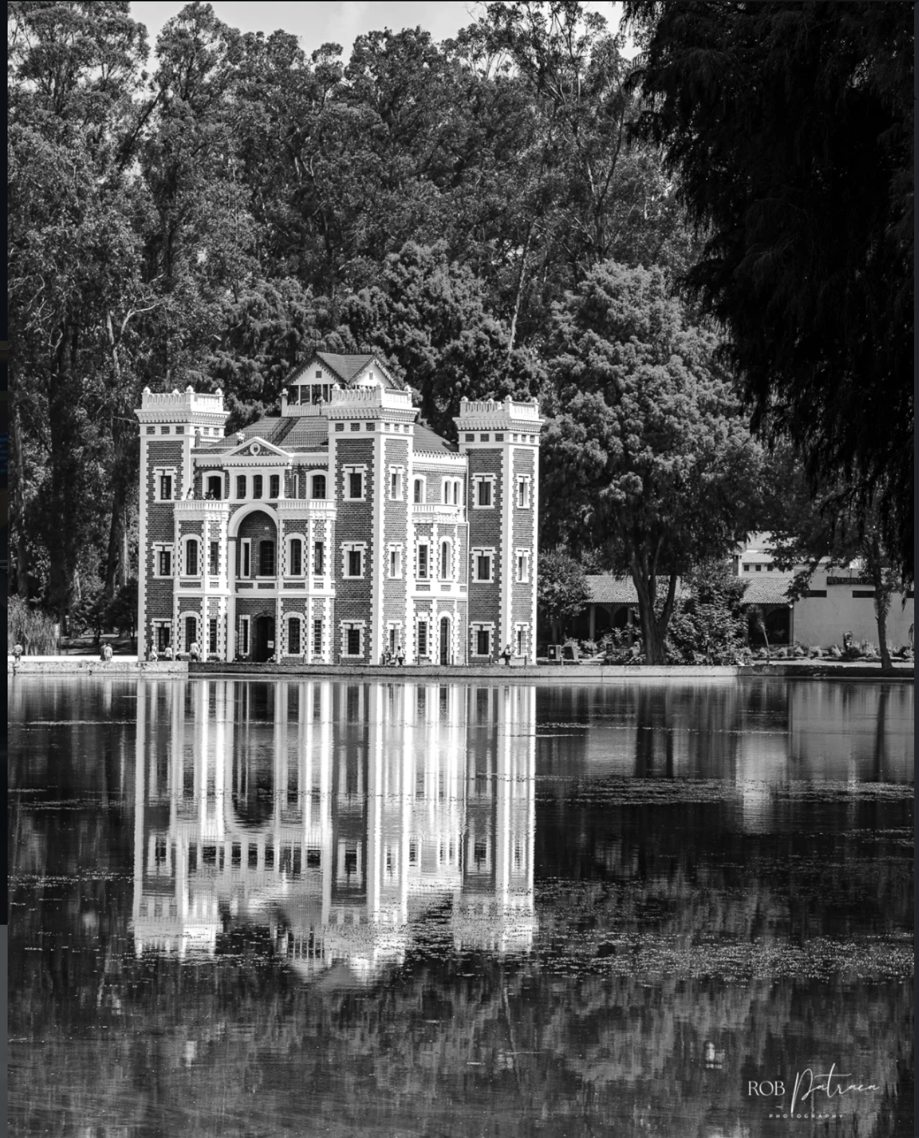 Historic castle reflected in lake, black and white